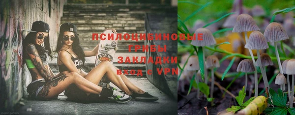 а пвп мука Белокуриха