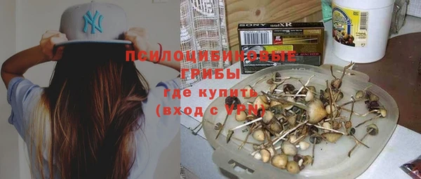 соль ск Белая Холуница