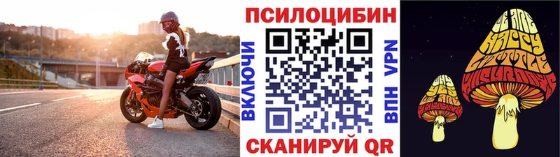 Псилоцибиновые грибы Cubensis  Городец 
